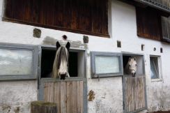 Haus für Pferde